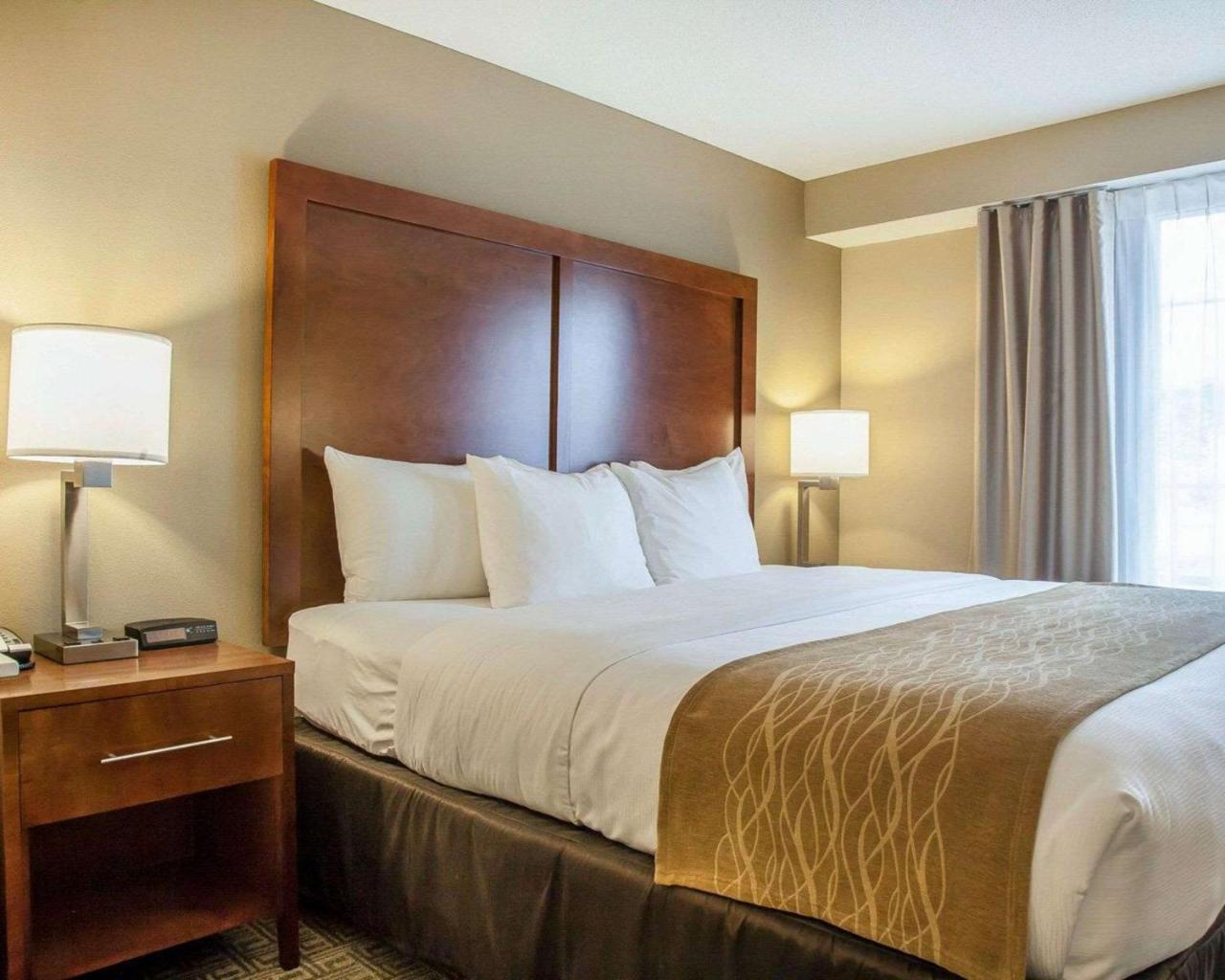 Comfort Inn & Suites Sturbridge-Brimfield Екстериор снимка